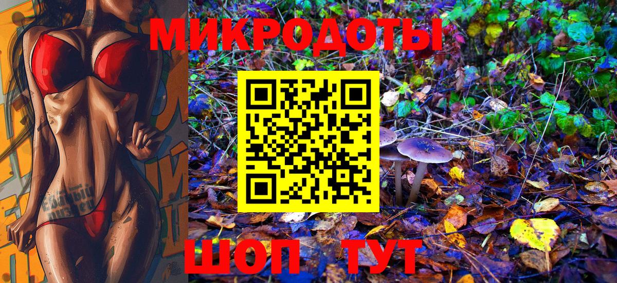 Галлюциногенные грибы Psilocybe Бор